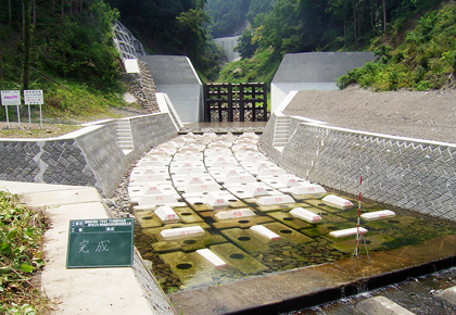 塩崎組の工事写真　加茂川水系（砂）市ノ川　砂防激甚災害対策特別緊急工事