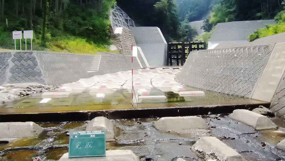 加茂川水系（砂）市ノ川　砂防激甚災害対策特別緊急工事